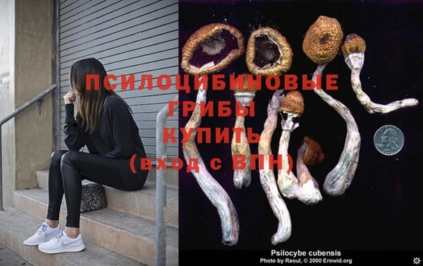 ECSTASY Лабытнанги
